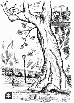 Click on the image to enlarge (89.3 kB)