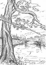 Click on the image to enlarge (96.6 kB)